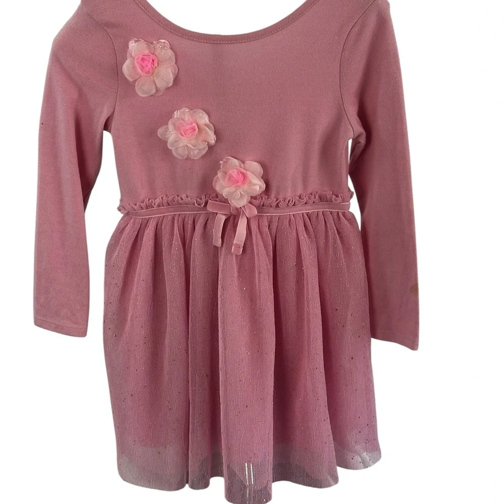 Cat & Jack Pink Balletcore Tulle Dress Floral Appliqué SZ 4T Party Dress